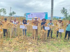 Pemkot Kotamobagu Hadiri Panen Raya Jagung di Desa Moyag Tampoan, Dorong Ketahanan Pangan dan Ekonomi Petani