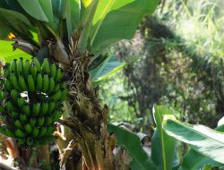 10 Cara Merawat Kesehatan Mata Agar Tetap Sehat dan Bugar