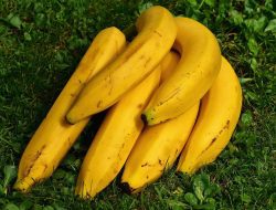 5 Tips Diet Karbo yang Efektif untuk Menurunkan Berat Badan