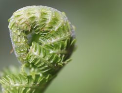 5 Tips Sehat untuk Menjaga Kebugaran Tubuh di Tengah Kesibukan