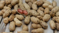 Berikut adalah 10 ide judul berita yang unik dan variatif mengenai tips diet sehat: