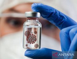Berita Terbaru: Virus Nipah Mengguncang Dunia, Apa yang Perlu Kita Ketahui?